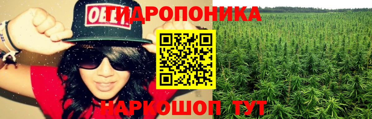 Дедовск  Бошки Шишки AK-47  Вход с VPN  Каннабис марихуана  Бошки Шишки сатива  Бошки Шишки марихуана 