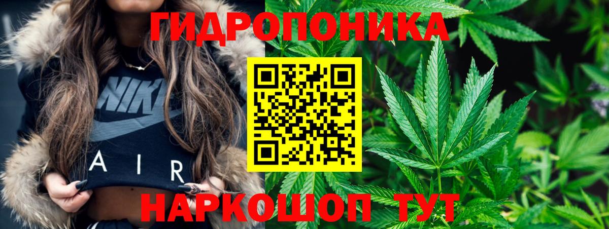  Cocaine Дедовск